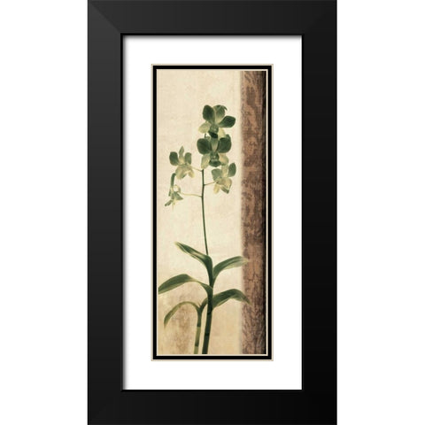 Dreamweaver II Black Modern Wood Framed Art Print with Double Matting by Donovan, Chris