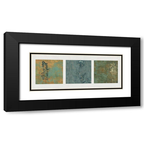 Nature Path Black Modern Wood Framed Art Print with Double Matting by Donovan, Chris