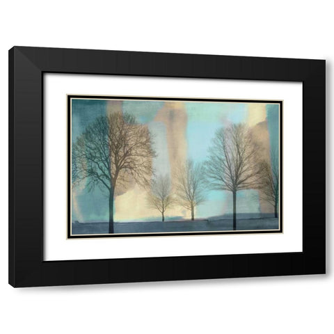 Misty Morning I Black Modern Wood Framed Art Print with Double Matting by Donovan, Chris