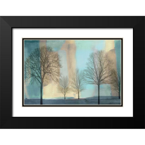 Misty Morning I Black Modern Wood Framed Art Print with Double Matting by Donovan, Chris