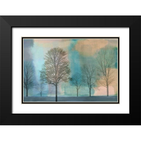 Misty Morning II Black Modern Wood Framed Art Print with Double Matting by Donovan, Chris