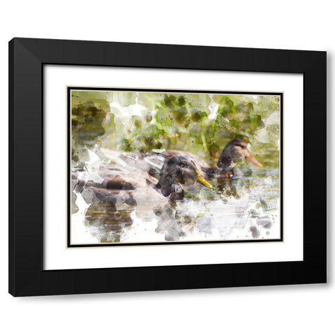 Ducks in Float II Black Modern Wood Framed Art Print with Double Matting by Young, Chamira