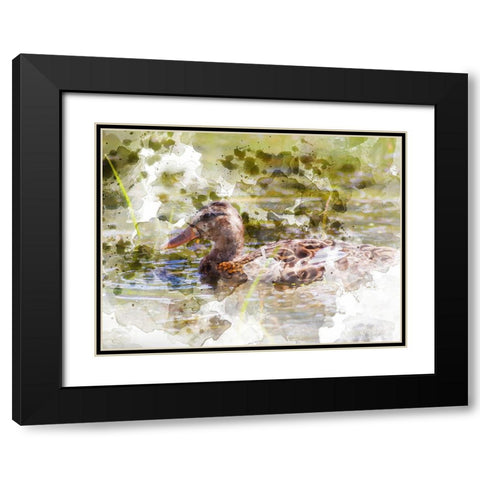 Ducks in Float III Black Modern Wood Framed Art Print with Double Matting by Young, Chamira