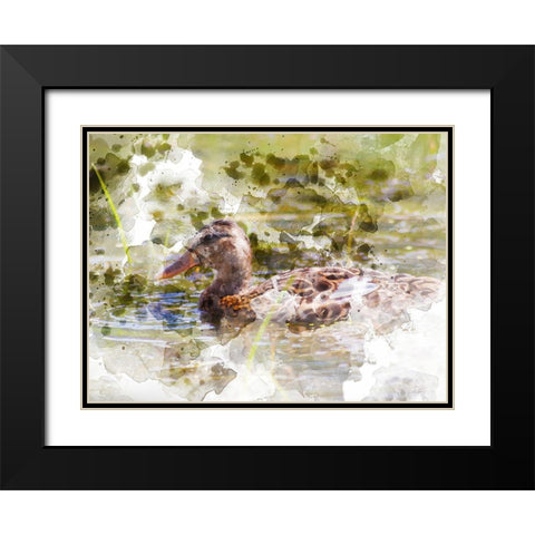 Ducks in Float III Black Modern Wood Framed Art Print with Double Matting by Young, Chamira