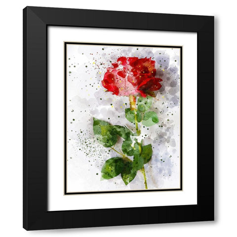 Rose in Bloom Black Modern Wood Framed Art Print with Double Matting by Young, Chamira