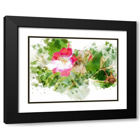 Floral in Bloom XIII Black Modern Wood Framed Art Print with Double Matting by Young, Chamira