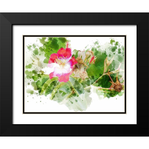 Floral in Bloom XIII Black Modern Wood Framed Art Print with Double Matting by Young, Chamira