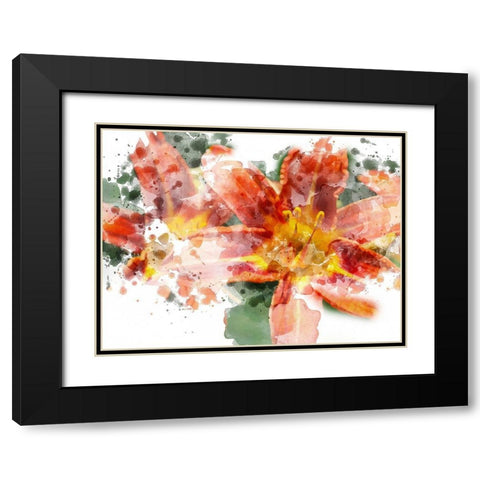 Floral in Bloom XVII Black Modern Wood Framed Art Print with Double Matting by Young, Chamira