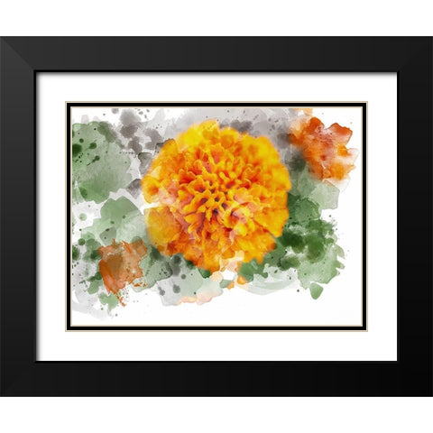 Floral in Bloom XIX Black Modern Wood Framed Art Print with Double Matting by Young, Chamira