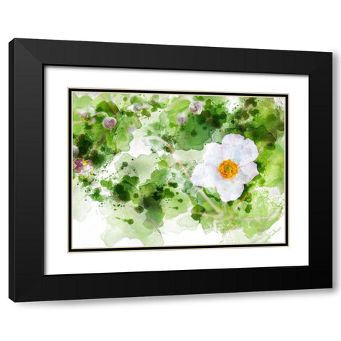 Floral in Bloom XXII Black Modern Wood Framed Art Print with Double Matting by Young, Chamira