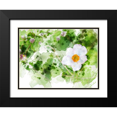 Floral in Bloom XXII Black Modern Wood Framed Art Print with Double Matting by Young, Chamira