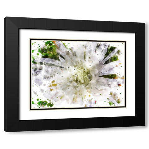 Floral in Bloom XXIII Black Modern Wood Framed Art Print with Double Matting by Young, Chamira