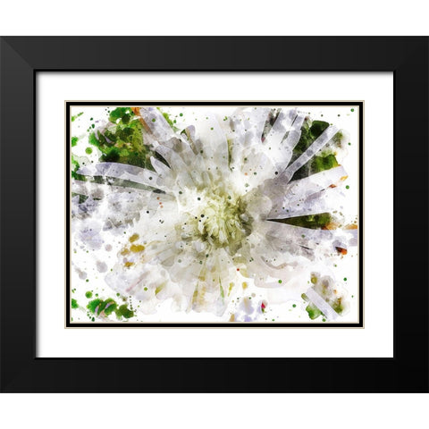 Floral in Bloom XXIII Black Modern Wood Framed Art Print with Double Matting by Young, Chamira