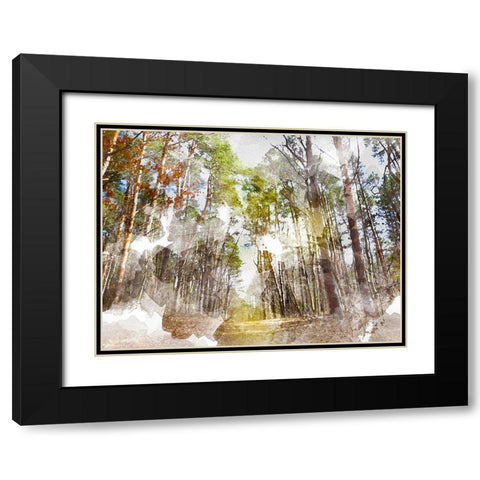Forest Road I Black Modern Wood Framed Art Print with Double Matting by Young, Chamira