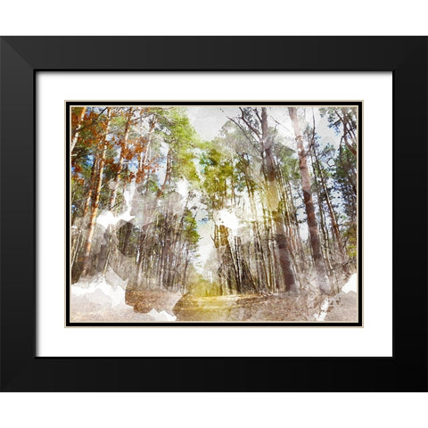 Forest Road I Black Modern Wood Framed Art Print with Double Matting by Young, Chamira