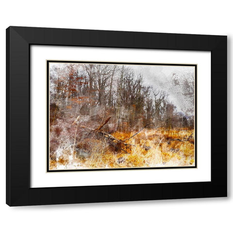 Autumn Forest I Black Modern Wood Framed Art Print with Double Matting by Young, Chamira