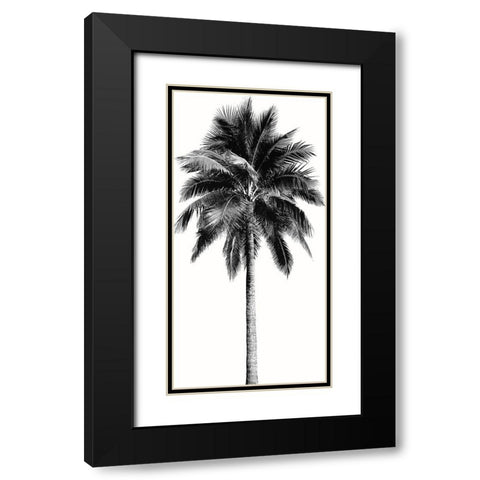 Palm Tree I Black Modern Wood Framed Art Print with Double Matting by Blake, Madeline