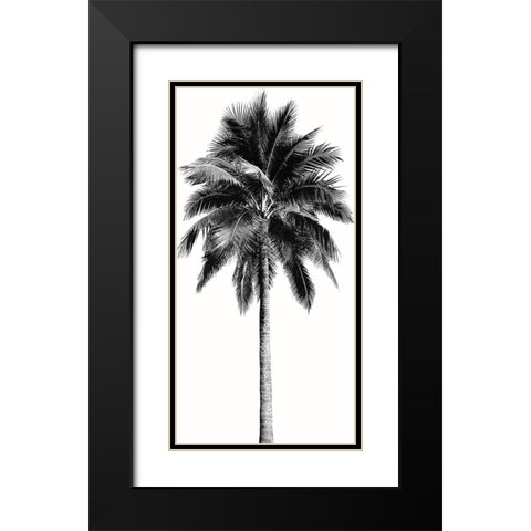 Palm Tree I Black Modern Wood Framed Art Print with Double Matting by Blake, Madeline