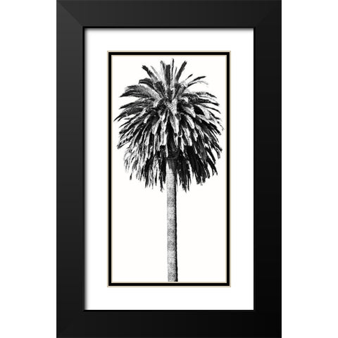 Palm Tree II Black Modern Wood Framed Art Print with Double Matting by Blake, Madeline