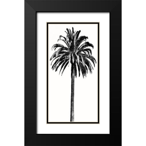 Palm Tree III Black Modern Wood Framed Art Print with Double Matting by Blake, Madeline