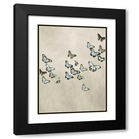 Spring Flight II Black Modern Wood Framed Art Print with Double Matting by Devellier, Deborah