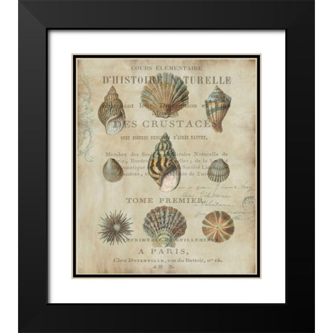 Shell Collection I Black Modern Wood Framed Art Print with Double Matting by Devellier, Deborah