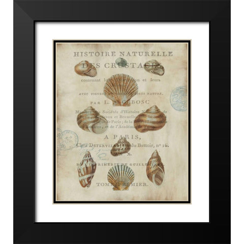 Shell Collection II Black Modern Wood Framed Art Print with Double Matting by Devellier, Deborah