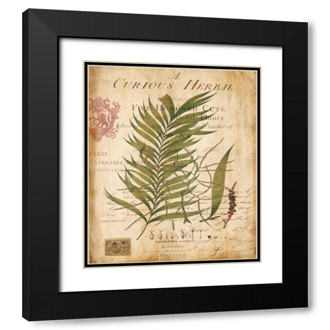 Palm Study I Black Modern Wood Framed Art Print with Double Matting by Devellier, Deborah