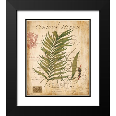 Palm Study I Black Modern Wood Framed Art Print with Double Matting by Devellier, Deborah