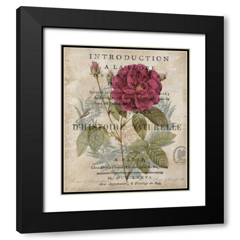 Botanique I Black Modern Wood Framed Art Print with Double Matting by Devellier, Deborah