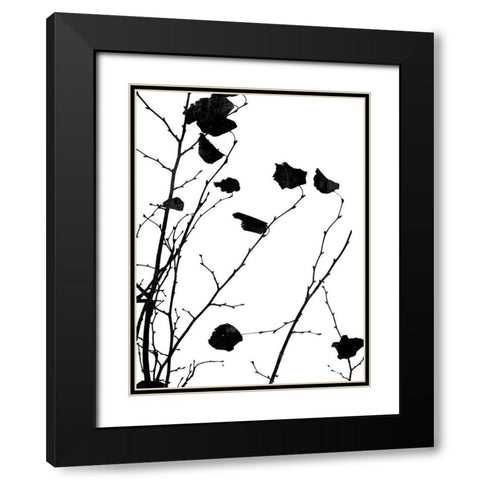 Nature Silhouette V Black Modern Wood Framed Art Print with Double Matting by Carson, Danielle