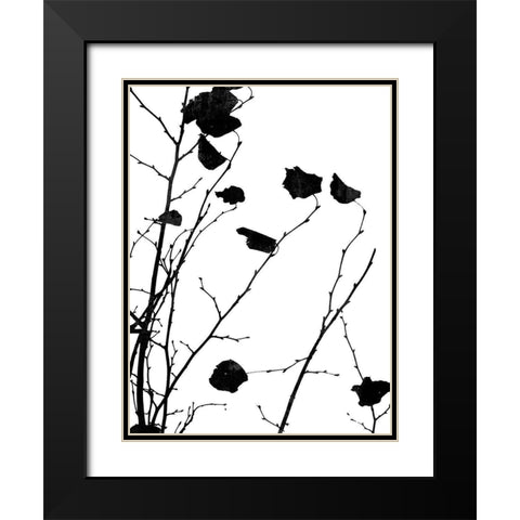Nature Silhouette V Black Modern Wood Framed Art Print with Double Matting by Carson, Danielle