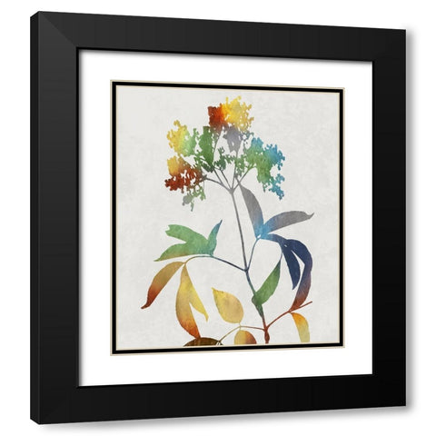 Colorful Nature V Black Modern Wood Framed Art Print with Double Matting by Carson, Danielle