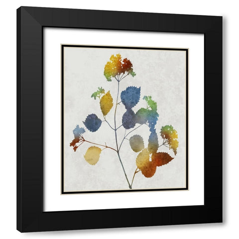 Colorful Nature VI Black Modern Wood Framed Art Print with Double Matting by Carson, Danielle