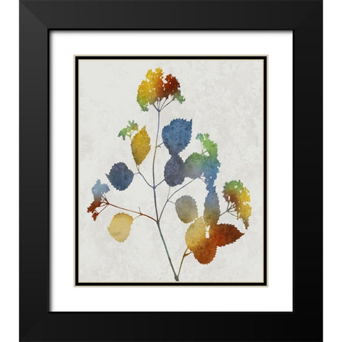 Colorful Nature VI Black Modern Wood Framed Art Print with Double Matting by Carson, Danielle