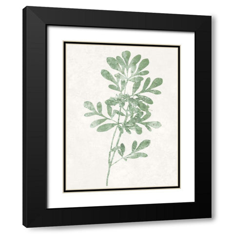 Nature Green II Black Modern Wood Framed Art Print with Double Matting by Carson, Danielle