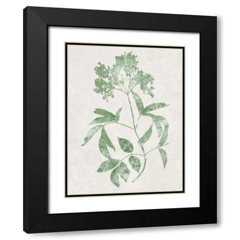 Nature Green V Black Modern Wood Framed Art Print with Double Matting by Carson, Danielle
