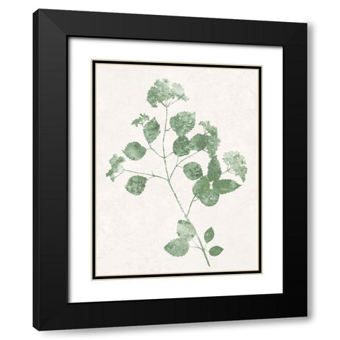 Nature Green VI Black Modern Wood Framed Art Print with Double Matting by Carson, Danielle