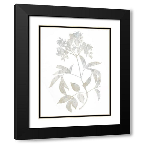 Natural Nature V Black Modern Wood Framed Art Print with Double Matting by Carson, Danielle