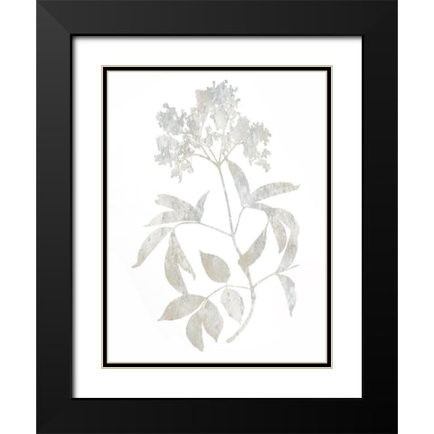 Natural Nature V Black Modern Wood Framed Art Print with Double Matting by Carson, Danielle