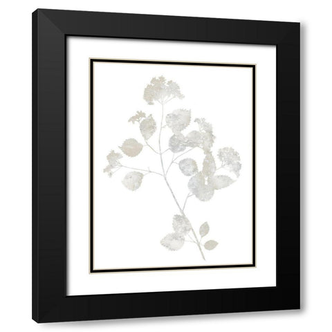 Natural Nature VI Black Modern Wood Framed Art Print with Double Matting by Carson, Danielle