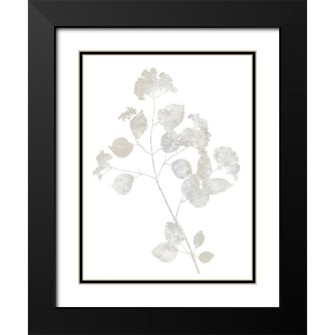Natural Nature VI Black Modern Wood Framed Art Print with Double Matting by Carson, Danielle