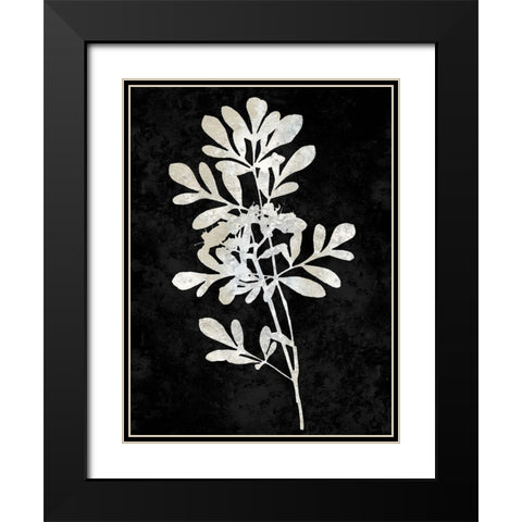 Nature White on Black II Black Modern Wood Framed Art Print with Double Matting by Carson, Danielle