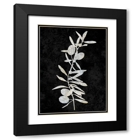 Nature White on Black IV Black Modern Wood Framed Art Print with Double Matting by Carson, Danielle