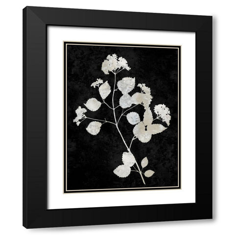 Nature White on Black VI Black Modern Wood Framed Art Print with Double Matting by Carson, Danielle