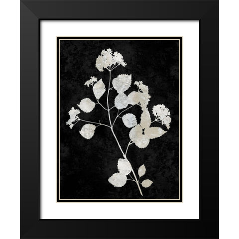 Nature White on Black VI Black Modern Wood Framed Art Print with Double Matting by Carson, Danielle