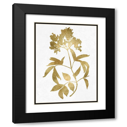 Nature Gold on White V Black Modern Wood Framed Art Print with Double Matting by Carson, Danielle