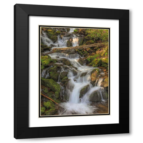 Waterfall Black Modern Wood Framed Art Print with Double Matting by Sproul, Dan