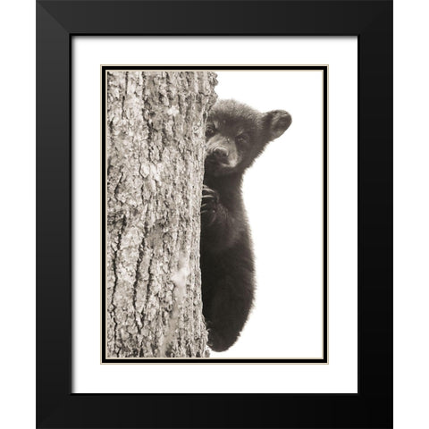 Boo Black Modern Wood Framed Art Print with Double Matting by Sproul, Dan