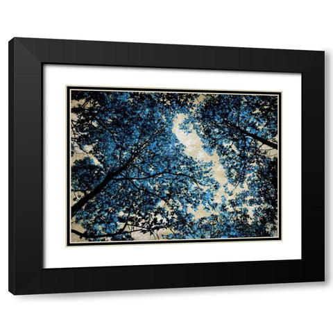 Blue Forest II Black Modern Wood Framed Art Print with Double Matting by Scott, Derek
